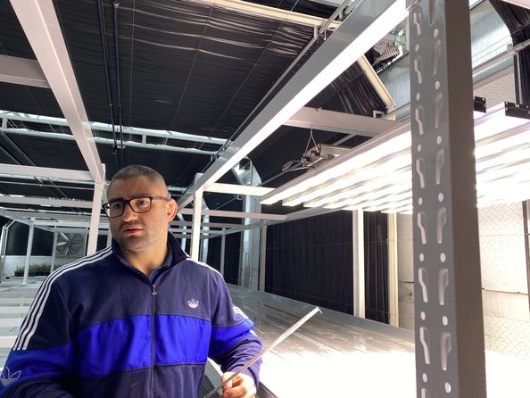 ब्रॉडरिक वानार्नम