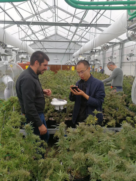 सिल्वेस्टर नाइकेन