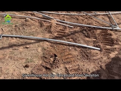 ग्रीनहाउस गर्म डुबकी जस्ती कंकाल