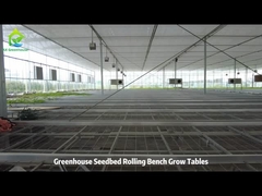 तार जाल बढ़ते टेबल और ईब बाढ़ रोलिंग बेंच ग्रीनहाउस के लिए बढ़ते टेबल