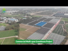 पॉली प्लास्टिक फिल्म टनल मल्टी-स्पैन कृषि सब्जी उगाने वाला ग्रीनहाउस