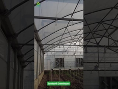 Sawtooth डिजाइन उष्णकटिबंधीय प्लास्टिक फिल्म ग्रीनहाउस