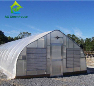 पौधों की खेती स्थिर संरचना और आसान विधानसभा के साथ एकल स्पैन पॉली कार्बोनेट पीसी शीट ग्रीनहाउस