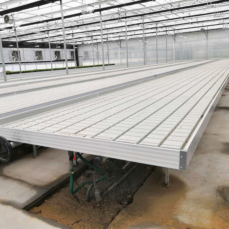 इब्ब फ्लो कस्टम डबल लेयर्स फ्लड ग्रो टेबल सीडबेड रोलिंग बेंच चलती और फूलों के लिए उपयुक्त