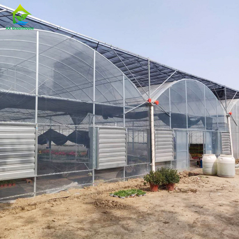 स्थिर संरचना सिंचाई के लिए पवन प्रतिरोधी बहु-स्पैन बड़ी सुरंग पॉली फिल्म हाइड्रोपोनिक ग्रीनहाउस
