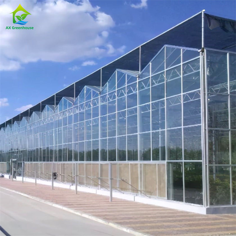 टिकाऊ ग्लास पॉलीकार्बोनेट ग्रीनहाउस में सब्जी स्ट्रॉबेरी उगाने के उपकरण - ऑल-इन-वन ग्रीनहाउस किट