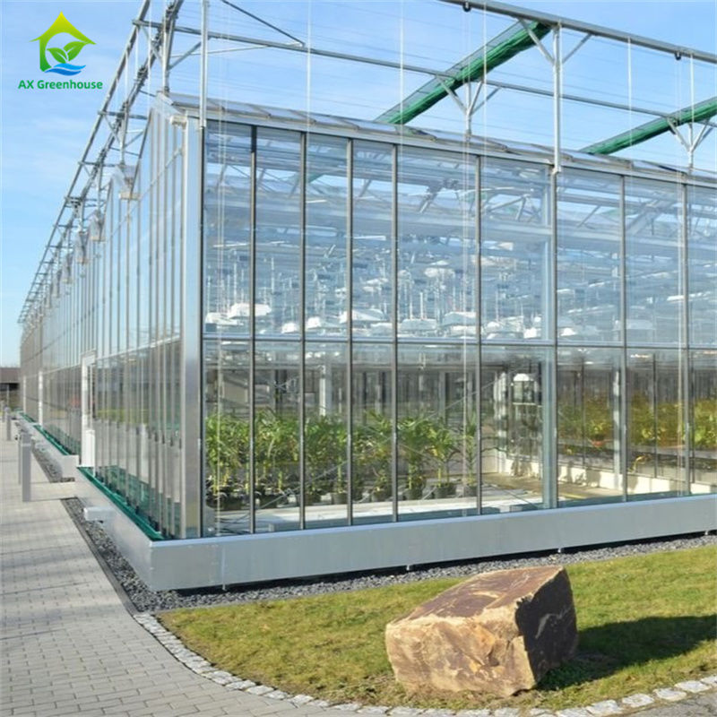 टिकाऊ ग्लास पॉलीकार्बोनेट ग्रीनहाउस में सब्जी स्ट्रॉबेरी उगाने के उपकरण - ऑल-इन-वन ग्रीनहाउस किट