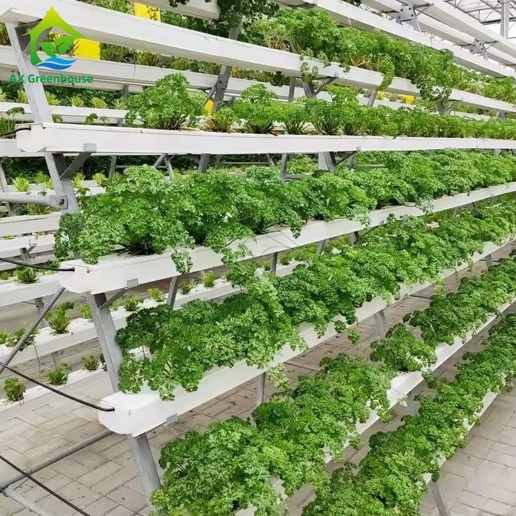 ग्रीनहाउस मृदा रहित खेती प्रणाली ए-फ्रेम पोषक तत्व फिल्म तकनीक एनएफटी चैनल कुशल सब्जी की खेती