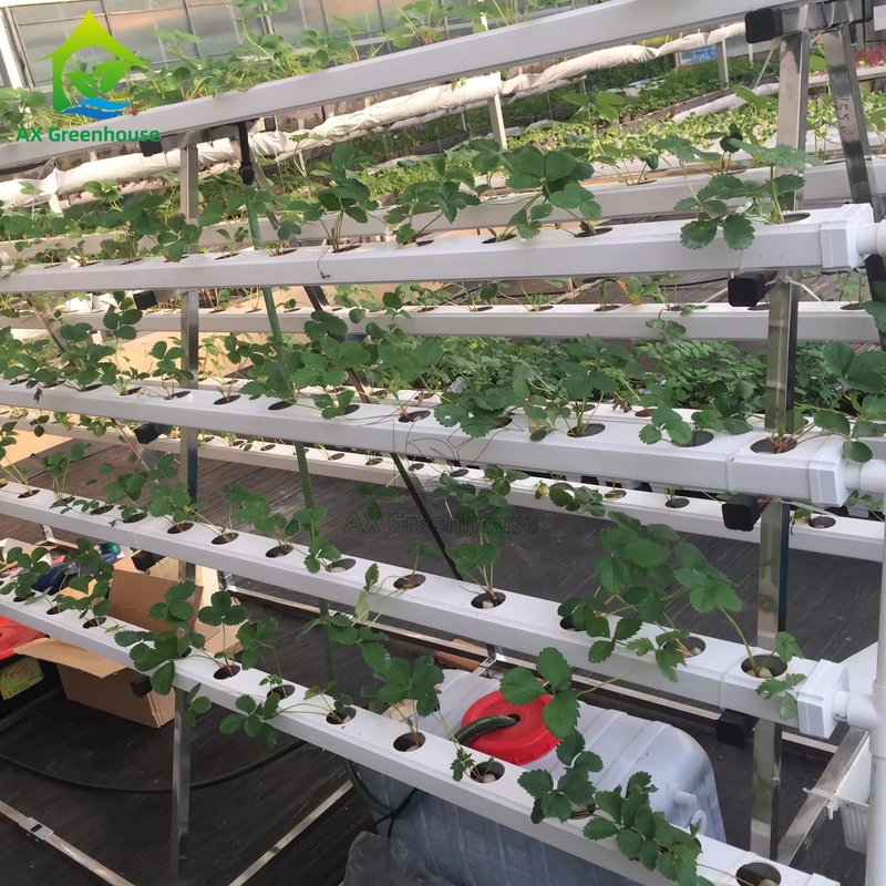 ग्रीनहाउस मृदा रहित खेती प्रणाली ए-फ्रेम पोषक तत्व फिल्म तकनीक एनएफटी चैनल कुशल सब्जी की खेती