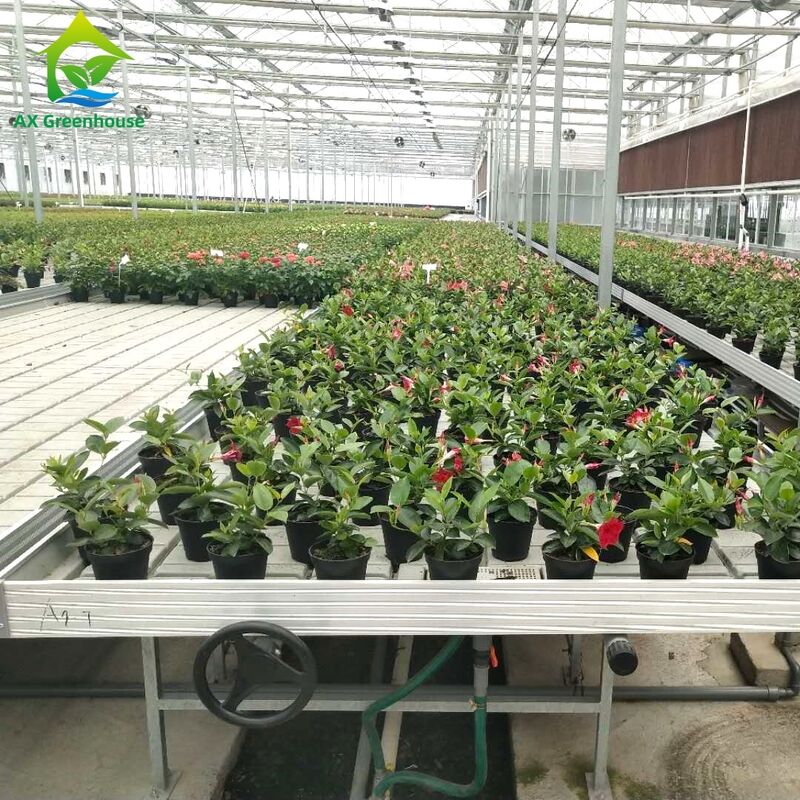 ग्रीनहाउस के लिए एडजस्टेबल ऊंचाई और इंटीग्रेटेड PP/ABS ट्रे के साथ कमर्शियल एल्यूमिनियम फ्रेम एब एंड फ्लो बेंच