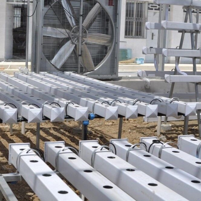 खाद्य ग्रेड पीवीसी एनएफटी हाइड्रोपोनिक गली सिस्टम यूवी अवरोधकों और वाणिज्यिक ग्रीनहाउस के लिए अनुकूलन योग्य आयामों के साथ