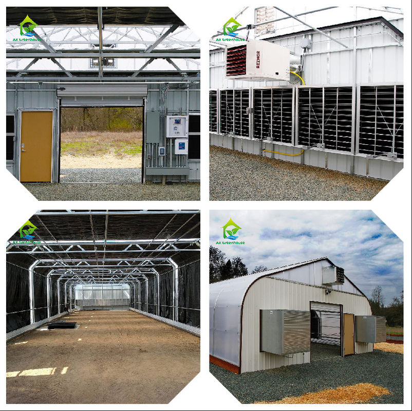 इष्टतम जलवायु नियंत्रण के लिए AC220V पावर और 0 ~ 50000 पीपीएम CO2 सांद्रता मीटर के साथ बुद्धिमान ग्रीनहाउस निगरानी प्रणाली