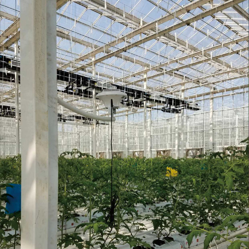 इष्टतम जलवायु नियंत्रण के लिए AC220V पावर और 0 ~ 50000 पीपीएम CO2 सांद्रता मीटर के साथ बुद्धिमान ग्रीनहाउस निगरानी प्रणाली