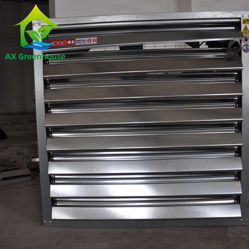 दीया 500-1250mm ब्लेड वेट वॉल एग्जॉस्ट फैन्स इंडस्ट्रियल वॉल माउंटेड एक्सट्रैक्टर फैन्स