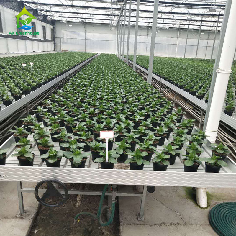 अनुकूलन योग्य आकारों में ABS प्लास्टिक शीट और एल्यूमीनियम मिश्र धातु फ्रेम के साथ स्थिर पर्यावरण के अनुकूल ग्रीनहाउस रोलिंग बेंच